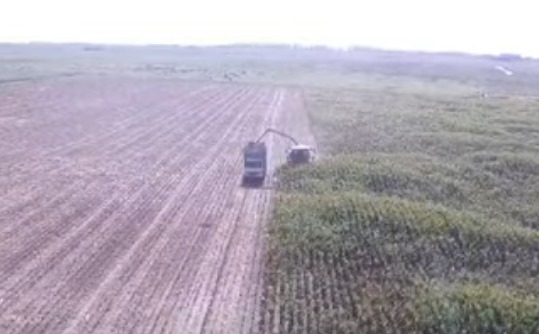 Video 2