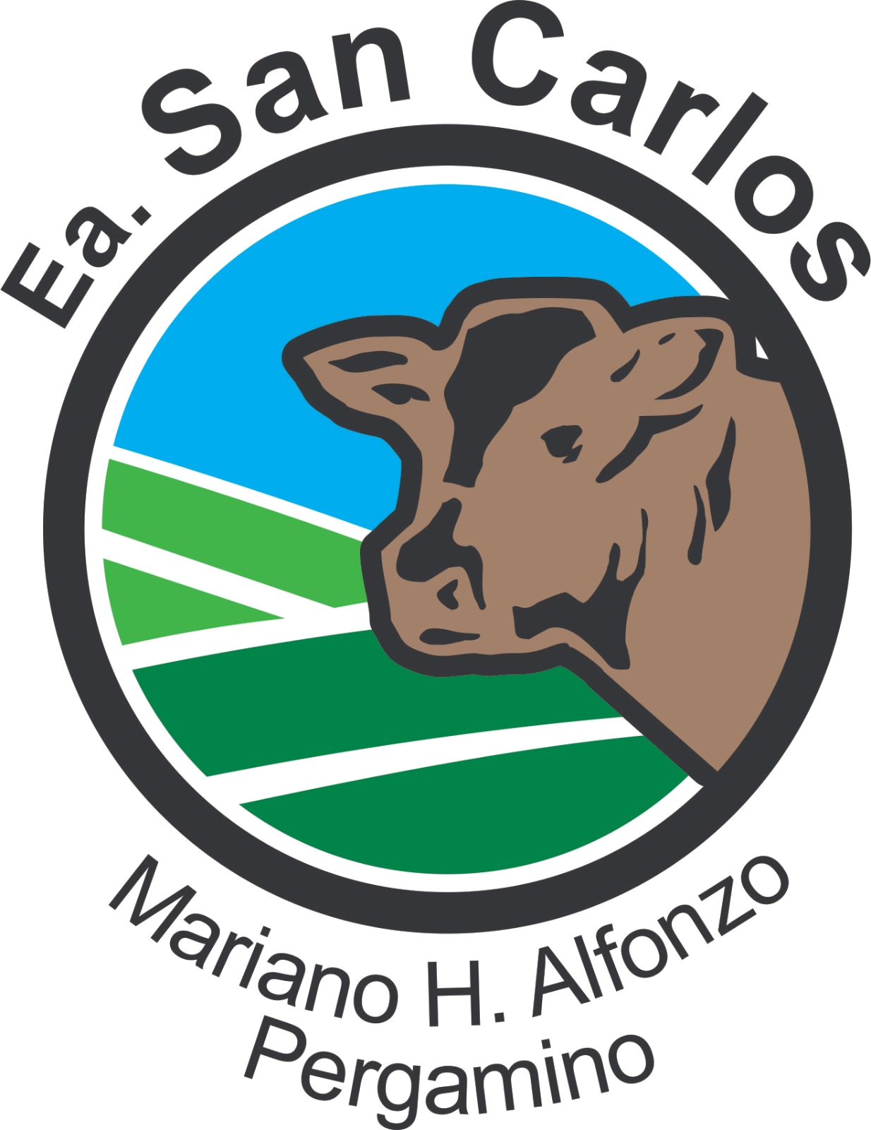 Logo San Carlos